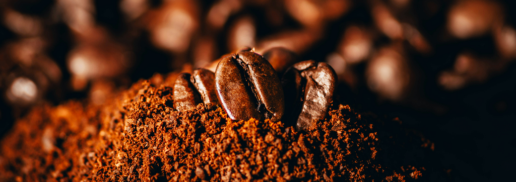 Beneficios de incluir semillas en tu dieta